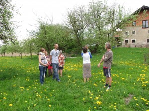 die Besuchergruppe im Garten